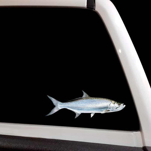 Tarpon Fish Sticker Decal