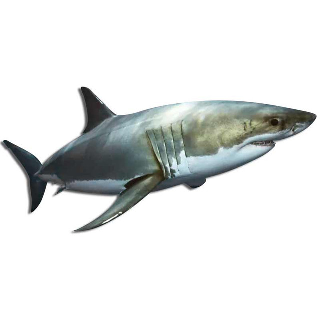 Great White Shark Jaws Marine Ocean Surf Decal