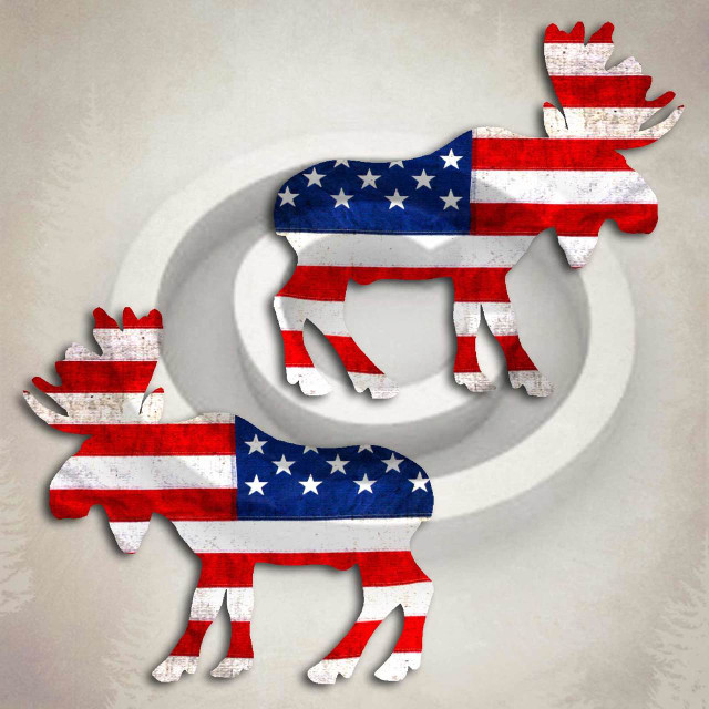 American Flag Moose Decal Set