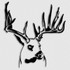 Whitetail Timber Buck Hunting Decal