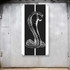 Shelby Snake Stripe Display Banner