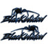 Black Widow Spider Carbon Fiber Decal Set