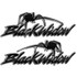 Black Widow Spider Carbon Fiber Decal Set