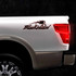 Black Widow Spider Carbon Fiber Decal Set