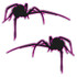 Black Widow Spider Vinyl Decal Set