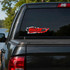 Boston Whaler Ripped Metal Fishing Decal Set