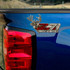 Z71 Deer Sniffer Off Road Decals