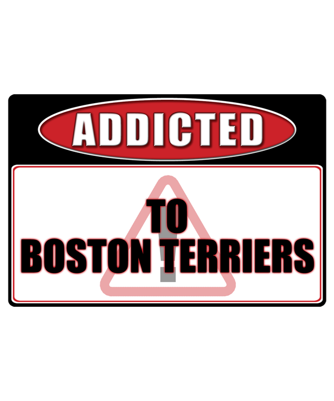 Boston Terrier Dog - Addicted Warning Sticker
