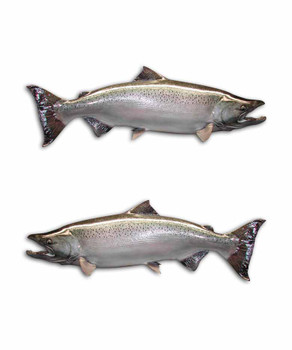 Download Chinook Fishing Salmon Sticker Set