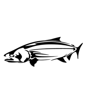 Download Chinook Fishing Sticker - Aftershock Decals