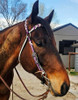 Rockin A Barcoo Headstall