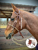 In Stock - Rockin' A Barcoo Headsetter