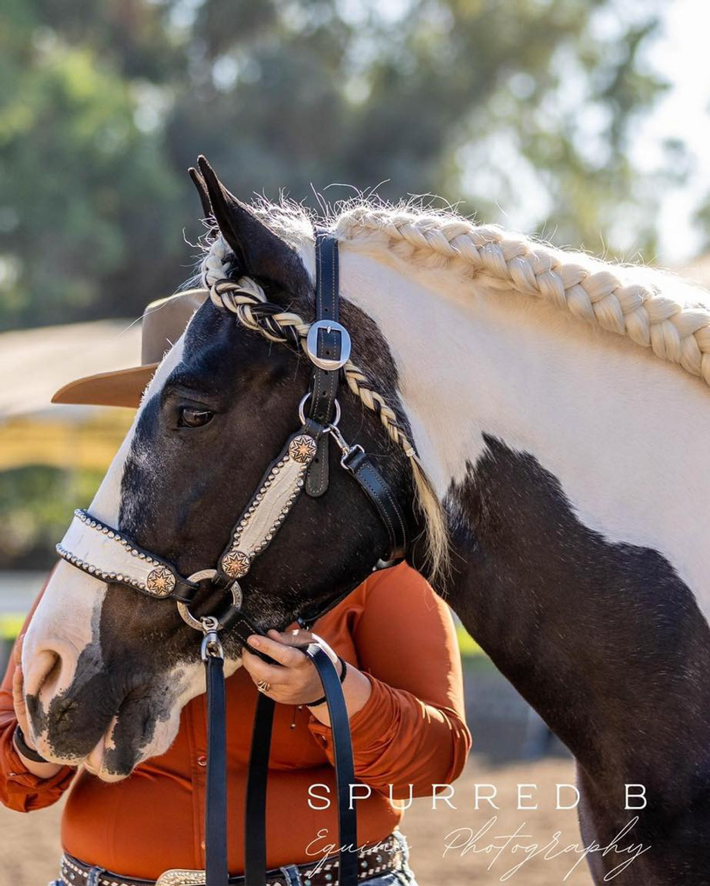 Leather Noseband Bronc Style Halter – Kaos Kords