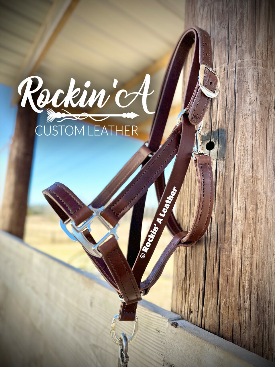 Sit Back Halter Information