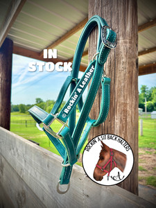 In Stock - AVERAGE - Rockin' A Sit Back Resist Leather Halter - Turquoise Leather