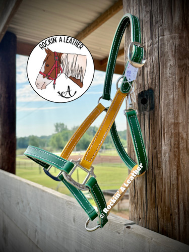In Stock - AVERAGE/MEDIUM - Green & Yellow Leather Halter - Option to add Sit Back - H8