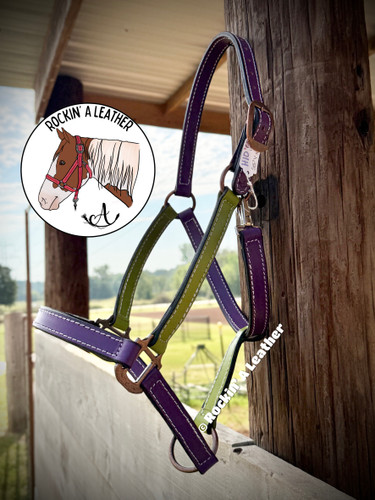 In Stock - AVERAGE/MEDIUM - Green & Yellow Leather Halter - Option to add Sit Back - H10
