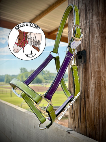 In Stock - AVERAGE/MEDIUM - Green & Yellow Leather Halter - Option to add Sit Back - H7