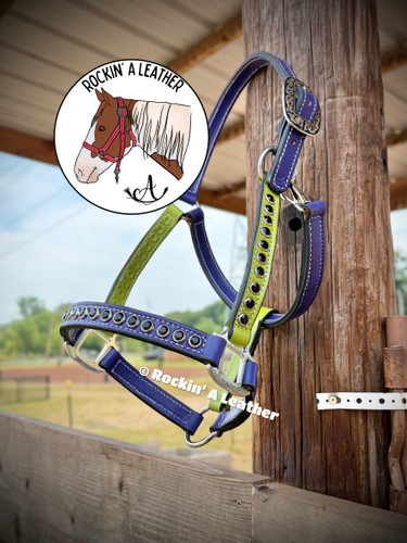 In Stock - AVERAGE - Purple & Lime Halter w/ Spots - H4 - & Option to Add Sit Back