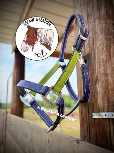 In Stock - AVERAGE - Purple & Lime Halter  - H1 - & Option to Add Sit Back