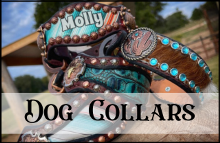 Dog Collars