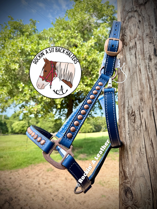In Stock - AVERAGE/MEDIUM - Blue Leather Halter - Option to add Sit Back