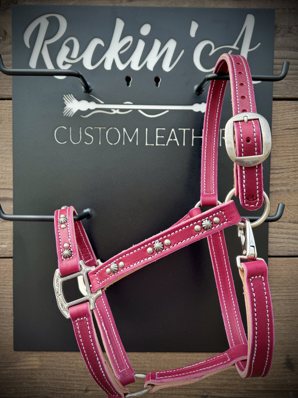 In Stock - AVERAGE - Turquoise & Purple Leather Halter #4 w/ Option to Add Sit Back