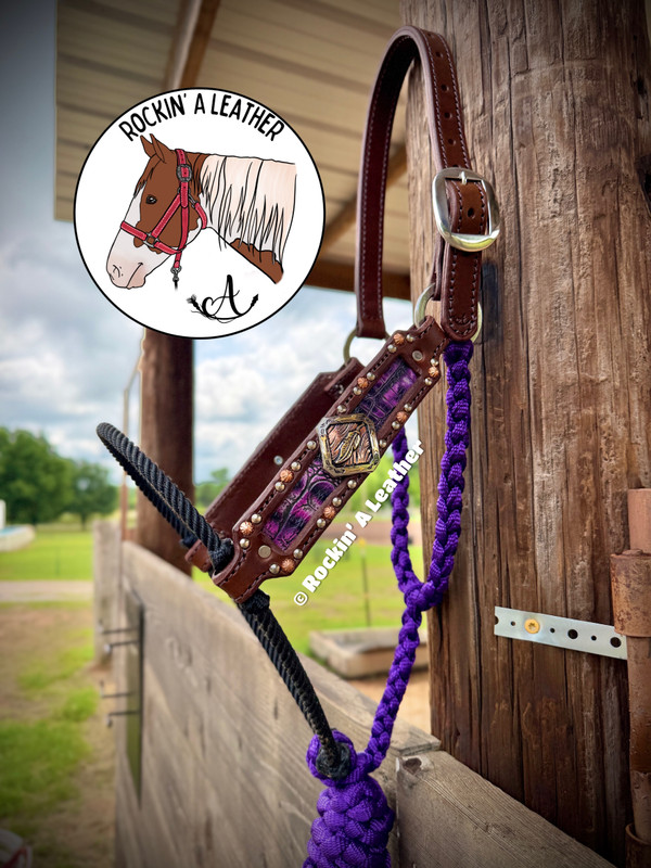 In Stock - Purple Gator Lariat Halter