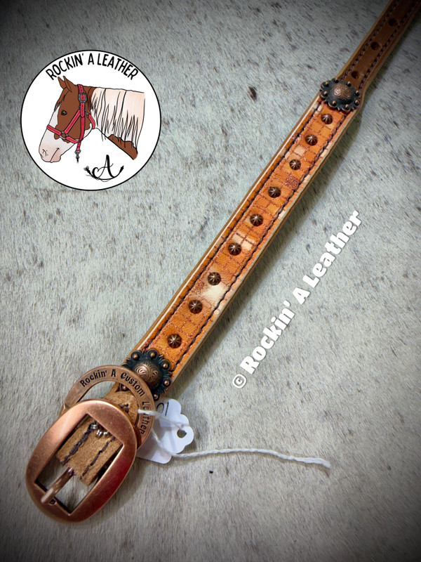 In Stock - Small Straight Dog Collar - Orange Glitter (10-14")