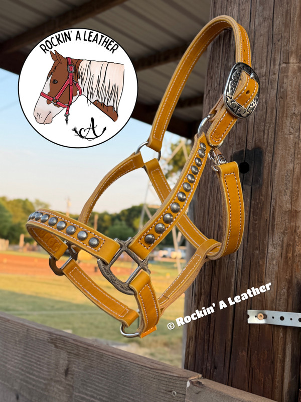In Stock - AVERAGE - Yellow Halter w/ Spots & Option to Add Sit Back