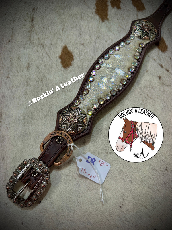 In Stock - Medium Scallop Dog Collar - D8 (13-16")