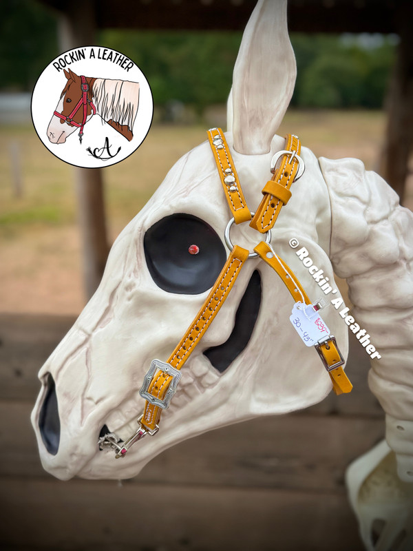 In Stock - Rockin A' Barcoo Headstall - A6 Snap Ends