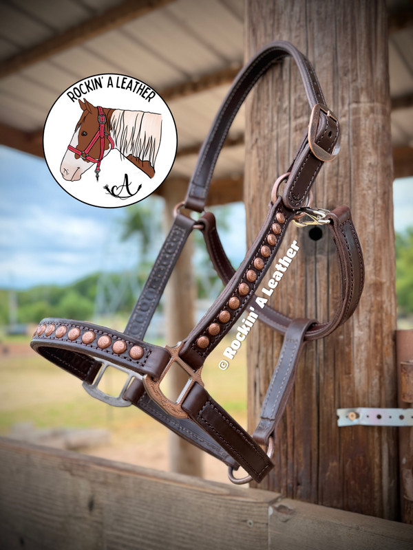 In Stock - AVERAGE - Dark-Dark Oil Halter w/ Spots - H12 - & Option to Add Sit Back