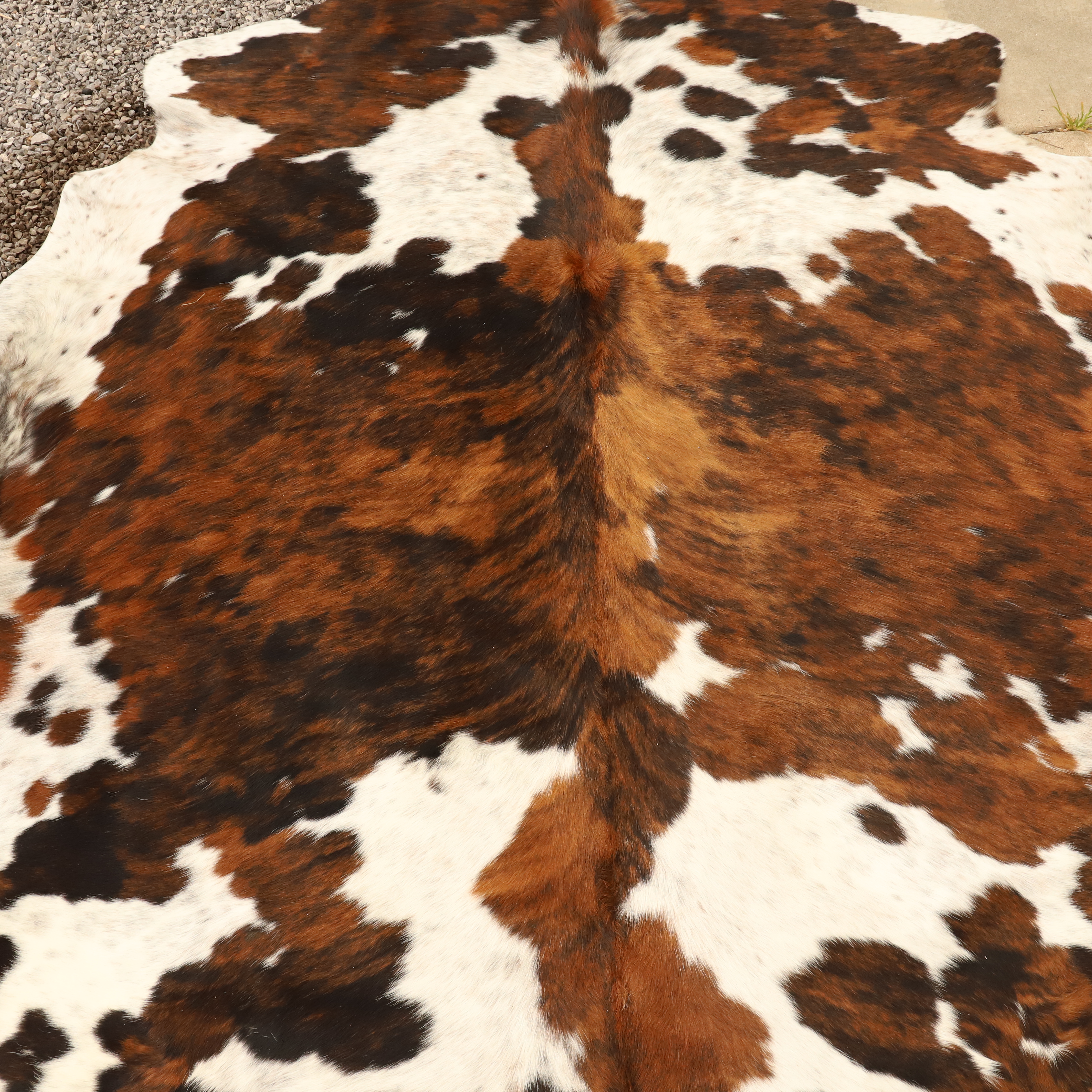 tri color cowhide