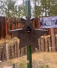 7" Star Target