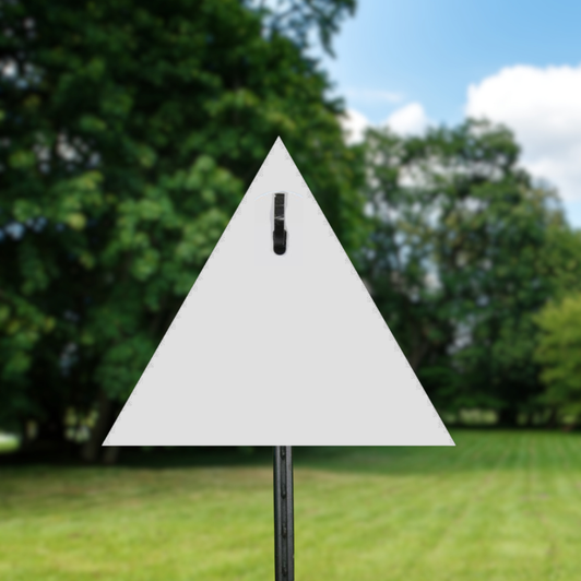 10" Triangle 3/8" Thick Slotted Hook