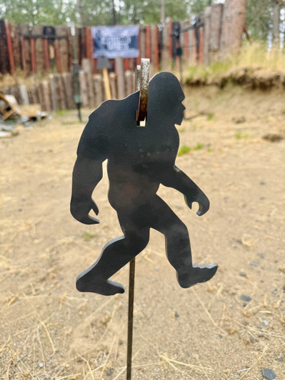 Sasquatch