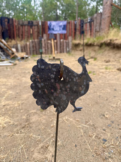 Rimfire Turkey