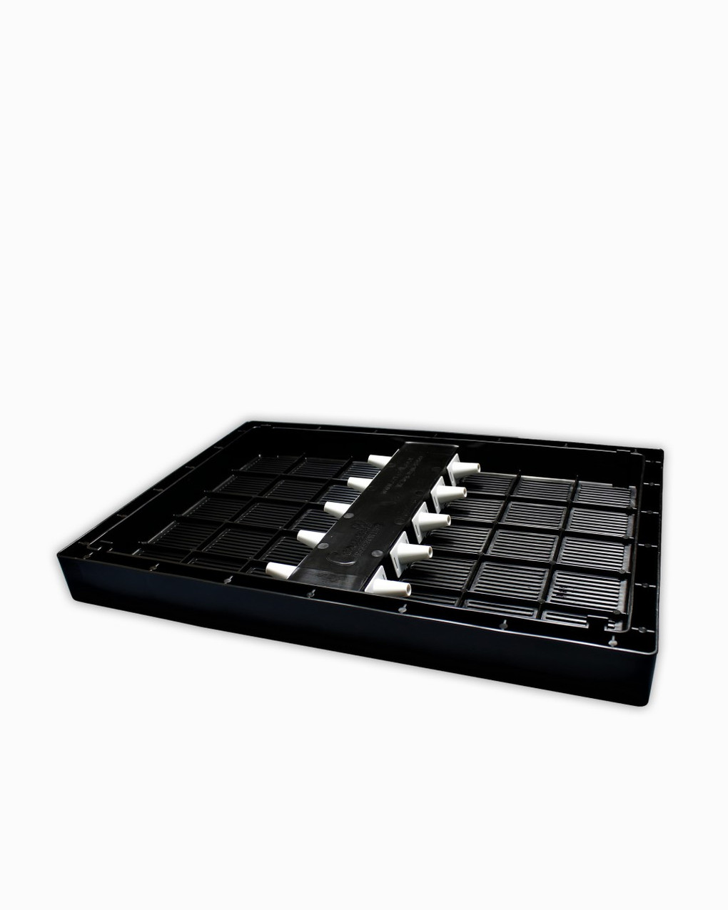 8-Frame Great Escape - With Cones