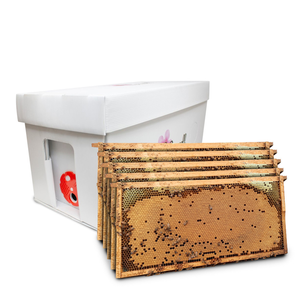 Beekeeping Bundle - Premium