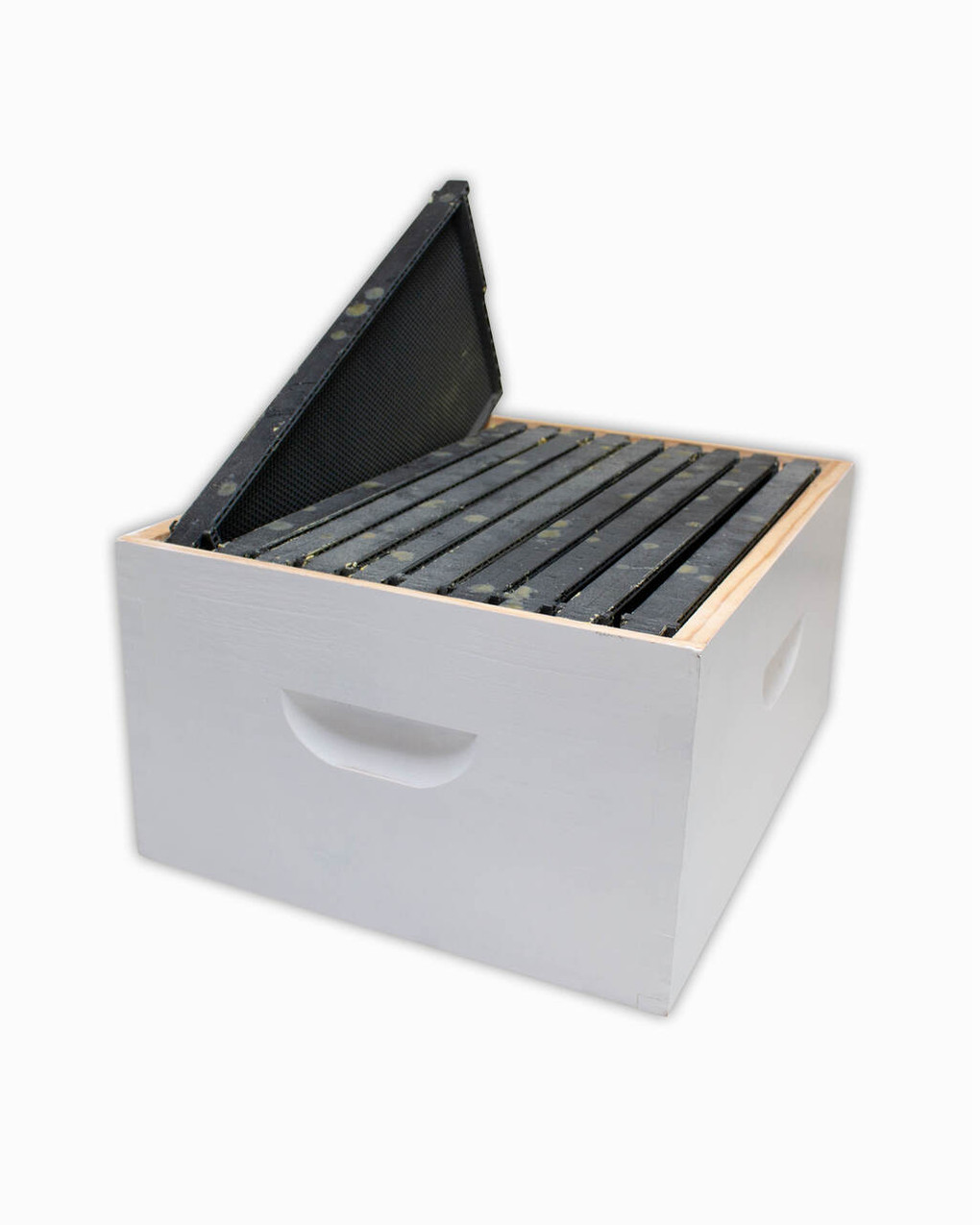 RTG FD Super - Paraffin Dipped & Painted (Plastic Coated Frames, Assembled)