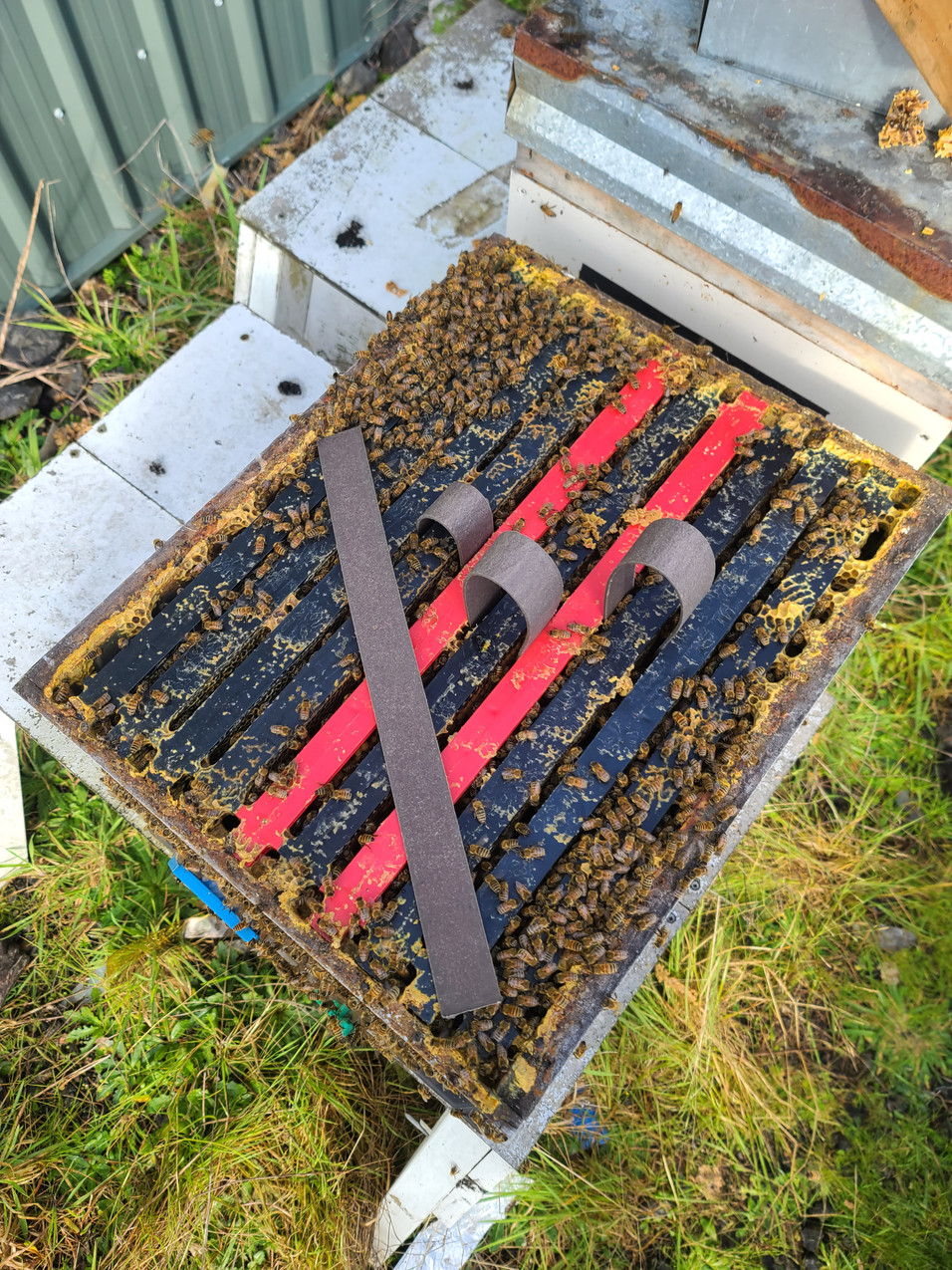 VarroxSan (60 pack) 15 treatments