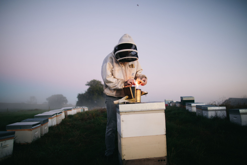 Cleaning Your Beekeeping Equipment - How To Guide