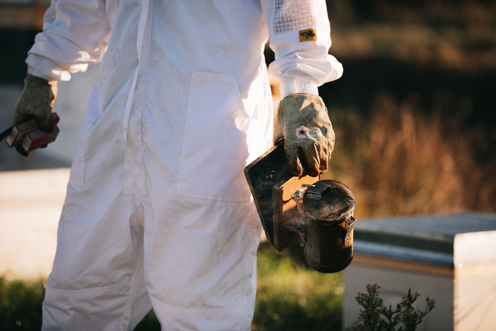 ​ How To Store Your Beekeeping Equipment