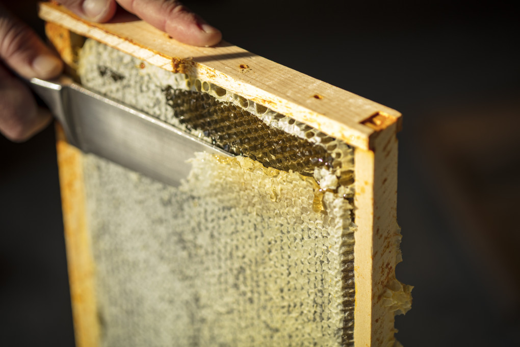 Manuka: The Biography of an Extraordinary Honey Manuka: The Biography of an Extraordinary Honey