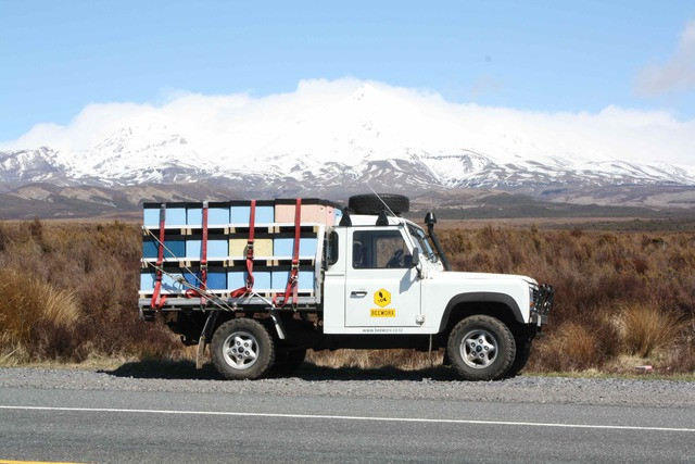 Tips for Beekeepers Wanting to go Commercial. 