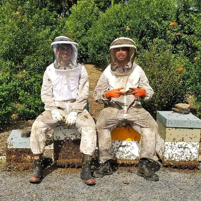 Beekeeping in a Crazy World. 