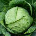 Cabbage - Green Ball (1g Seed Packet)