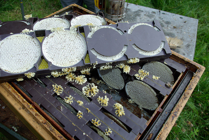 Ceracell Round Comb Honey System Beekeeping Supplies NZ Beekeeping