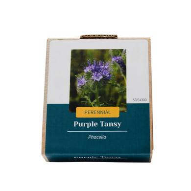 Phacelia (Purple Tansy) (3g Seed Packet)